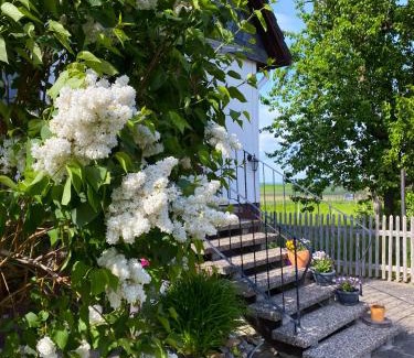 Weddingen Apartamento | Ferienwohnung Santino