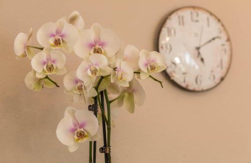 Lochbrucke Apartamento | Ferienwohnung Schürer