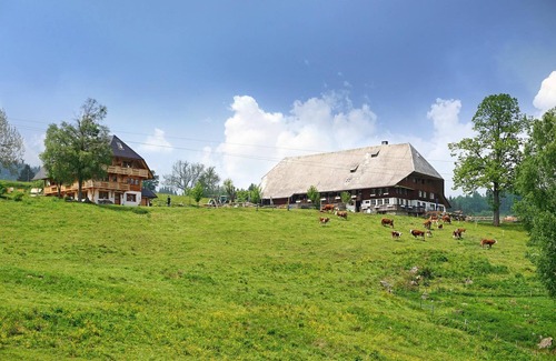 Hinterzarten Apartamento | Apartamento Schauinsland, 75m², 2 dormitorios, máx. 5 personas