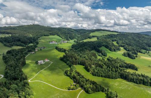 Thalgau Apartamento | Ferienwohnung Scheierlweg