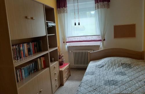 Naila Apartamento | Ferienwohnung Schmidt