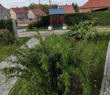 Grossdubrau Apartamento | Ferienwohnung Schmidt
