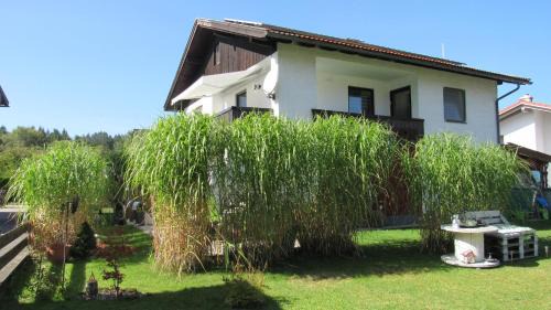 Halblech Apartamento | Ferienwohnung Schopper