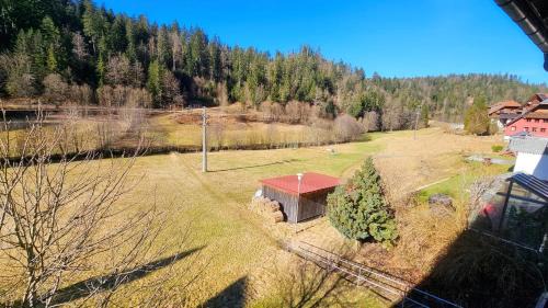 Todtmoos Apartamento | Ferienwohnung Schwarzwaldsegen mit Balkon