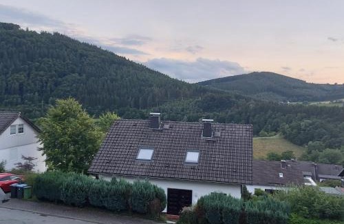 Niedersfeld Apartamento | Ferienwohnung See & Bergblick