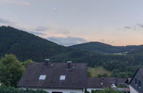 Niedersfeld Apartamento | Ferienwohnung See & Bergblick