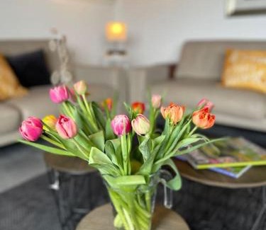 Mastershausen Apartamento | Ferienwohnung Sofie