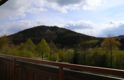 Niedersfeld Apartamento | Ferienwohnung Sonnenblick Balkony - WIFI - New & Modern - Winterberg - Niedersfeld