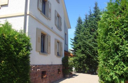 Steinen Apartamento | Ferienwohnung Sprang
