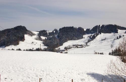 Steibis Apartamento | Ferienwohnung Steibis/Allgäu