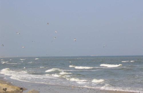 Schoenhagen Apartamento | Ferienwohnung Strandglück