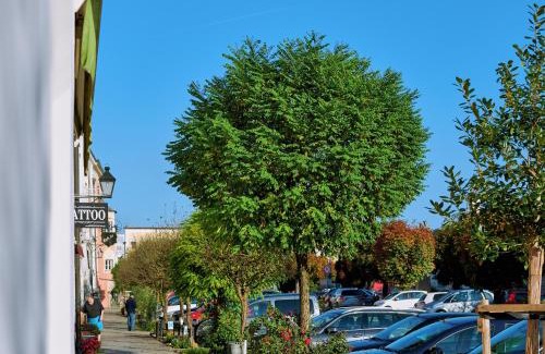 Tittmoning Apartamento | Ferienwohnung Tittmoning zwischen Salzburg, Burghausen und Österreich