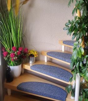 Immenrode Casa | Ferienwohnung Vier Sterne