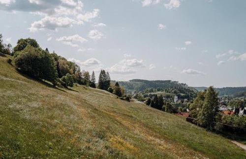 Lenzkirch Apartamento | Ferienwohnung Wälderliebe