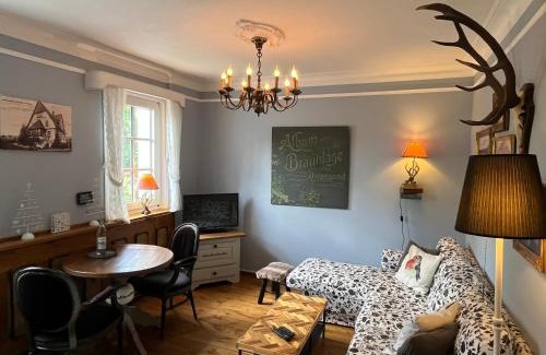 Braunlage Apartamento | Ferienwohnung Waldhexe in der Villa Brockenhexe