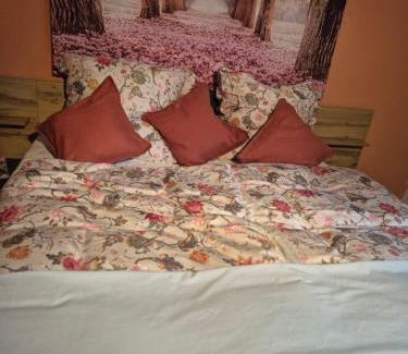 Elmstein Apartamento | Ferienwohnung Waldnest