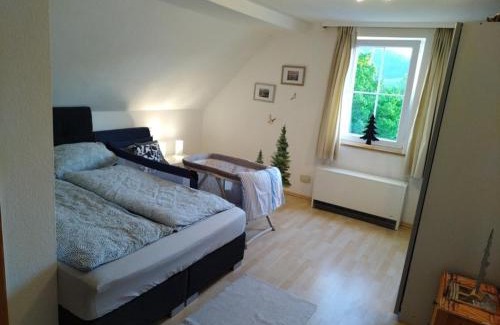 Mitteltal Apartamento | Ferienwohnung Waldrausch