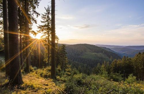 Langewiese Apartamento | Ferienwohnung Winterberg