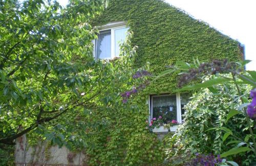 Neuruppin Apartamento | Ferienwohnung Wolf