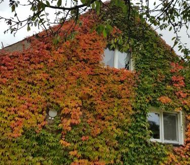 Neuruppin Apartamento | Ferienwohnung Wolf