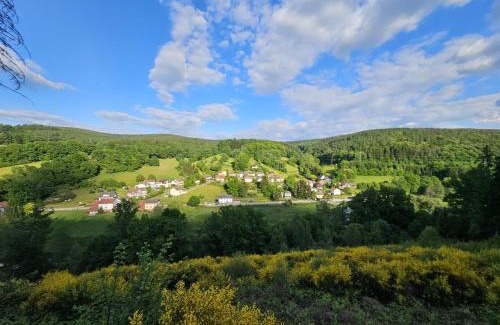 Finkenbach Apartamento | Ferienwohnung zum Finkenbachtal