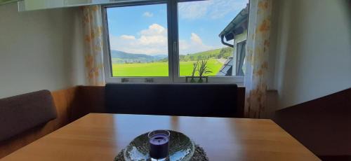 Tiefgraben Apartamento | Ferienwohnung zum IRRSEE 79 Mondseeland