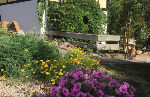 Friesdorf Apartamento | Ferienwohnung "Zum Schlossblick"