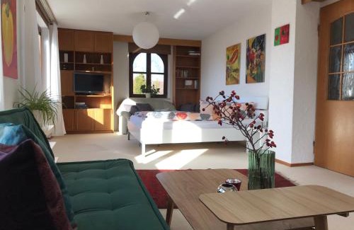 Mainberg Apartamento | Ferienwohnungen Am Forsthaus