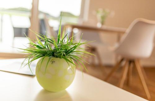 Lindlar Apartamento | Ferienwohnungen "Am Mühlenberg"