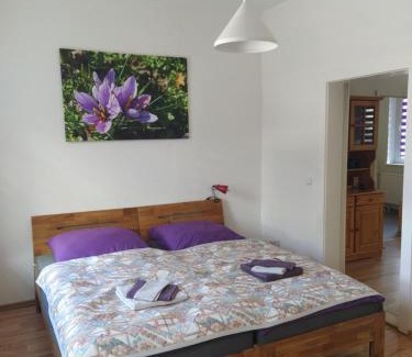 Altenburg Apartamento | Ferienwohnungen am Safrangarten