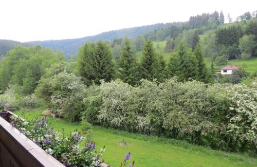 Steinach Apartamento | Ferienwohnungen Breternitz