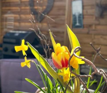 Traben-Trarbach Apartamento | Ferienwohnungen Christina