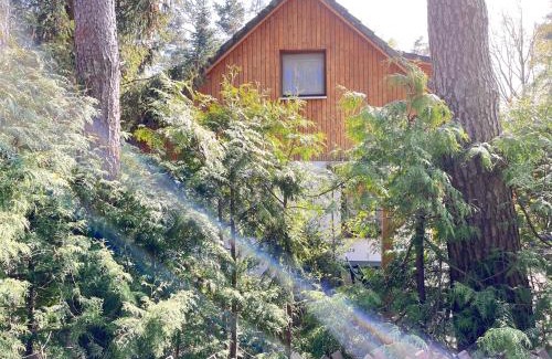 Neuhaus Casa | Ferienwohnungen Dierhagen MOST 1110