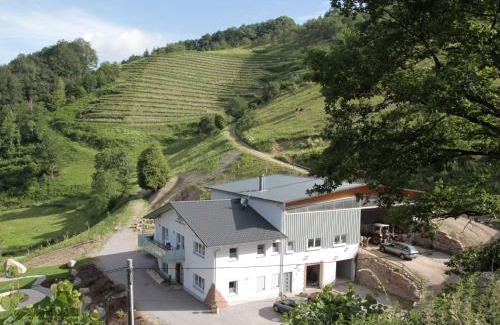 Oberkirch Apartamento | Ferienwohnungen Giedensbach