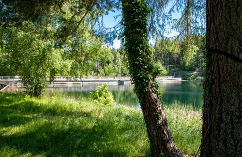 Tambach-Dietharz Apartamento | Ferienwohnungen Haus am See