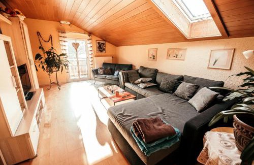 Viechtach Apartamento | Ferienwohnungen Hauner