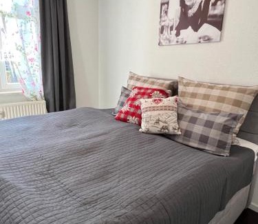 Bad Liebenstein Apartamento | Ferienwohnungen Historische Post