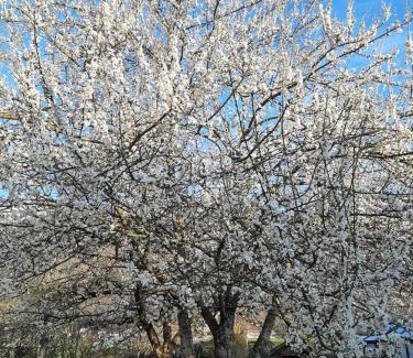 Inzell Apartamento | Ferienwohnungen im Griachalgarten - Chiemgau Karte