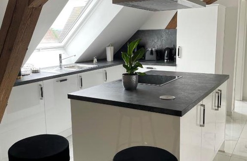 Gallenweiler Apartamento | Ferienwohnungen im Palmengarten - 70 qm