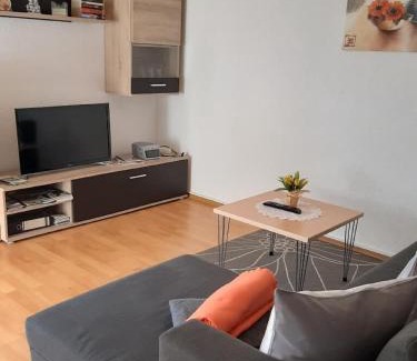 Blaibach Apartamento | Ferienwohnungen Malz