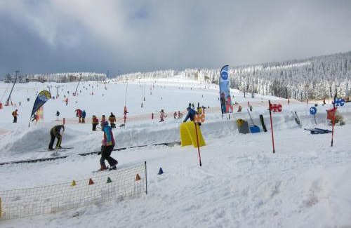 Oberwiesenthal Apartamento | Ferienwohnungen Oberwiesenthal