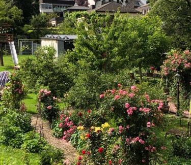 Kues Apartamento | Ferienwohnungen Perlina Karpat