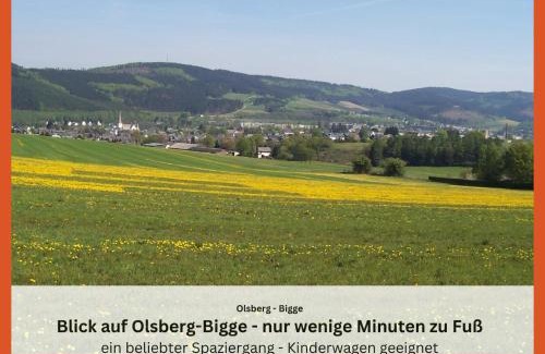 Olsberg Apartamento | Ferienwohnungen Sauerland und Olsberg