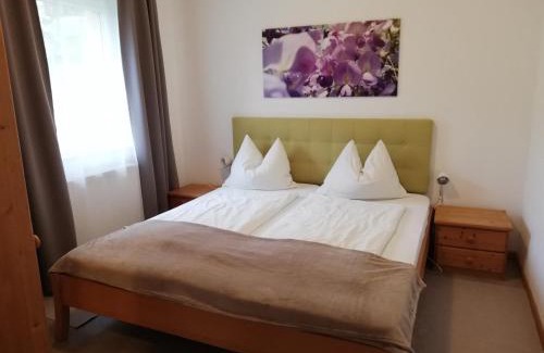 Tschoran Apartamento | Ferienwohnungen Vidoni