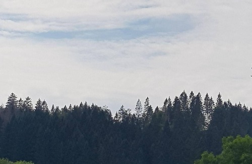 Wildemann Apartamento | Ferienwohnungen Waldblick, Wohnung 1