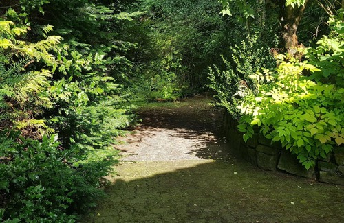Wildemann Apartamento | Ferienwohnungen Waldblick, Wohnung 1