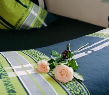 Borkwalde Apartamento | Ferienzimmer Waldzauber