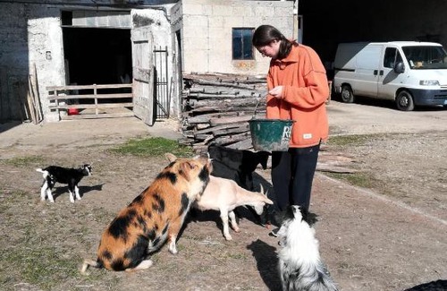 Chelieu Cama Y Desayuno | Ferme les poneys de la Durme