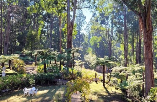 Mount Dandenong Cabaña | Forest Edge - Casa de campo para dos