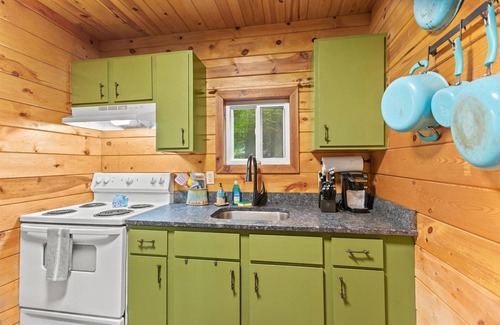 Saint Helens Cabina | Fern Gulley Cabin with Hot Tub, Pet Friendly, near DBBB / Hollerwood